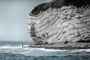 Stevns Klint UNESCO & Viking Kings Hall Tour from Copenhagen