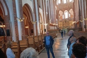 Excursión de un día a: la catedral, los barcos vikingos y un palacio renacentista.