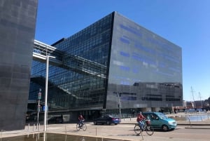 The Copenhagen Bike Experience - 3 Stunden Tour