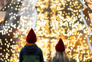 Ticket de entrada a los Jardines de Tívoli en Navidad