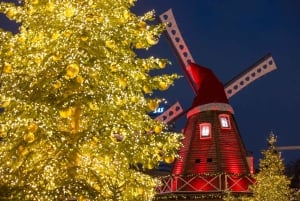 Ticket de entrada a los Jardines de Tívoli en Navidad