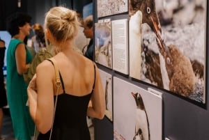 Antarctica Interactive Experience