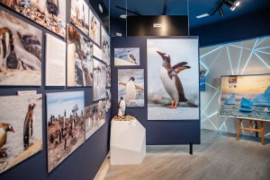 Antarctica Interactive Experience