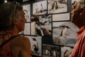 Antarctica Interactive Experience