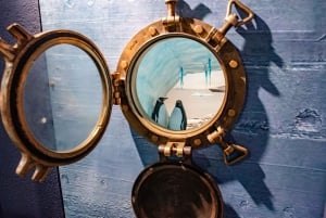 Antarctica Interactive Experience