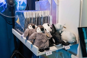 Antarctica Interactive Experience