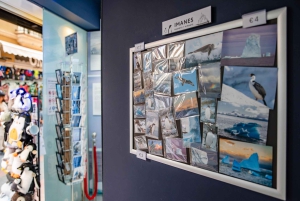 Antarctica Interactive Experience