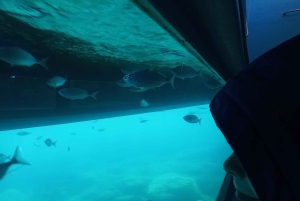 AQUA SPLASH ADVENTURE : Superrutsche & Schwimmen