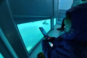 AQUA SPLASH ADVENTURE : Superrutsche & Schwimmen