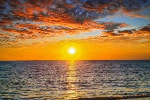 AQUA SPLASH SUNSET : Mega Tobogán & Cóctel & Natación