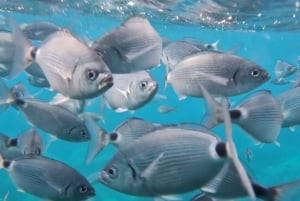 AQUA SPLASH SUNSET : Mega Tobogán & Cóctel & Natación