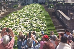 Барселона: частная экскурсия по городу Жирона