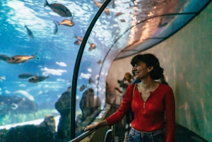 Barcelona: Hop-On/Hop-Off Bus & Aquarium-Tour
