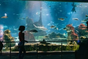 Barcelona: Hop-On/Hop-Off Bus & Aquarium-Tour