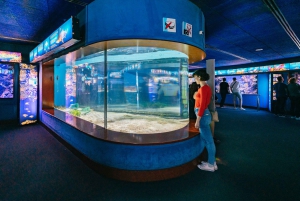 Barcelona: Hop-On/Hop-Off Bus & Aquarium-Tour