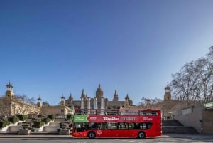 Barcelona: Hop-On/Hop-Off Bus & Aquarium-Tour