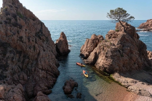 From Barcelona: Tossa de Mar Day Trip with Small Group