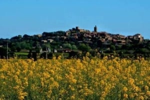 Barcelona: Tour Besalu, Peratallada y pals