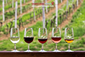 Barcelone : Visite privée Besalu, Dalí et dégustation de vins