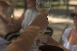 Barcelona: Vinsmaking, omvisning i Marimurtra-hagen og Blanes