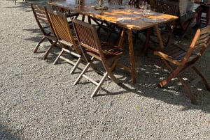 Barcelona: Vinsmaking, omvisning i Marimurtra-hagen og Blanes