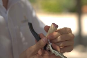 Barcelona: Vinsmaking, omvisning i Marimurtra-hagen og Blanes