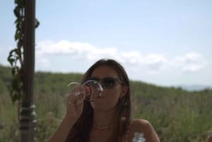 Barcelona: Vinsmaking, omvisning i Marimurtra-hagen og Blanes