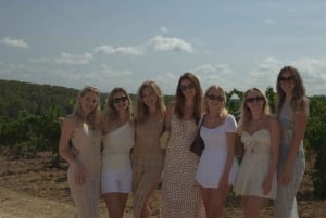 Barcelona: Vinsmaking, omvisning i Marimurtra-hagen og Blanes