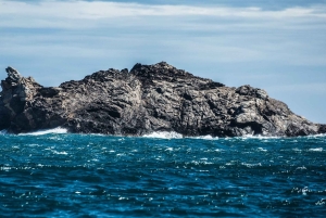 Bateau au Cap de Creus et à Port Lligat + Visite de Cadaqués