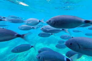 カダケスと水中ビジョン：コスタブラバの魔法をご堪能ください