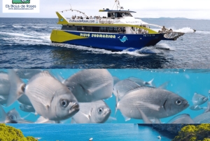 カダケスと水中ビジョン：コスタブラバの魔法をご堪能ください