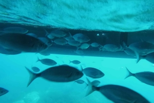 Кап де Креус: исследуйте и живите в водном мире