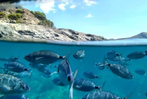 Кап де Креус: исследуйте и живите в водном мире