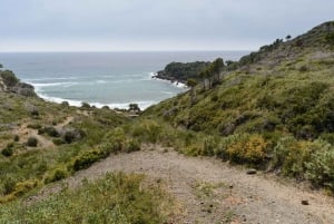 Costa Brava : Croisière en catamaran à Cala Murtra et vue sous-marine