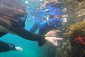 Barcelona trip experience: Kayak and Snorkel in Costa Brava