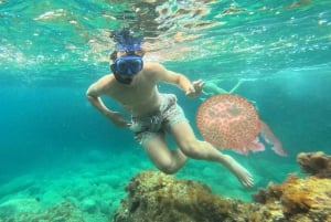 Barcelona trip experience: Kayak and Snorkel in Costa Brava