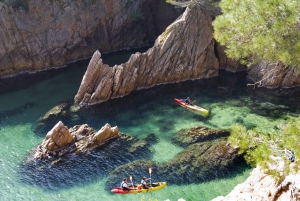Costa Brava: Sea Caves Kayaking and Snorkeling Tour