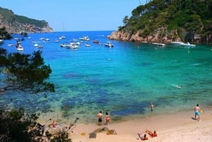 Costa Brava: Private Tour of Empuries and Boat Ride