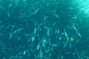 Коста-Брава: Сан-Фелиу-де-Гишольс, каякинг и сноркелинг