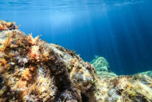 Costa Brava: Havsgrottor: Kajak- och snorkeltur i havet