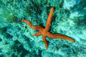 Costa Brava: tour en kayak y esnórquel por cuevas marinas