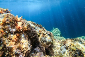 Costa Brava: tour en kayak y esnórquel por cuevas marinas