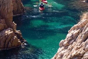 Costa Brava: tour en kayak y esnórquel por cuevas marinas