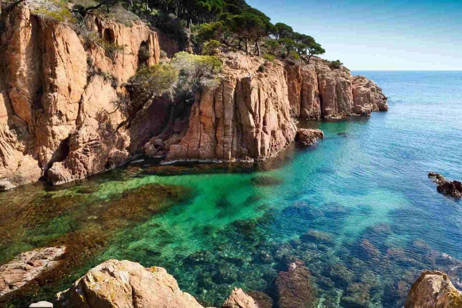 Costa Brava: Dzień na łodzi, słońce i wino wśród malowniczych zatoczek