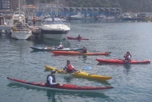 Costa Brava's Hidden Coves Kayak Tour