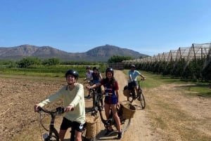 Från Barcelona : E-Bike över Girona-provinsen & Costa Brava