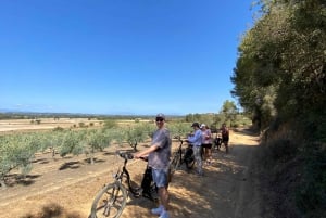 From Barcelona : E-Bike across Girona Province & Costa Brava