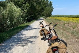 Från Barcelona : E-Bike över Girona-provinsen & Costa Brava