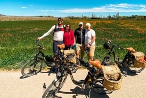 Från Barcelona : E-Bike över Girona-provinsen & Costa Brava