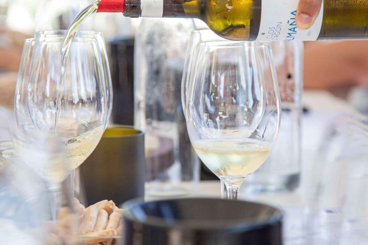 Empordà: besøg og vinsmagning på Clos d'Agon på Costa Brava